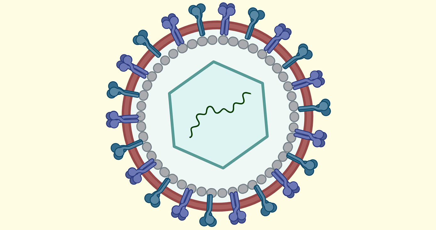 Making Sense of Various COVID-19 Vaccine Technologies | University of ...