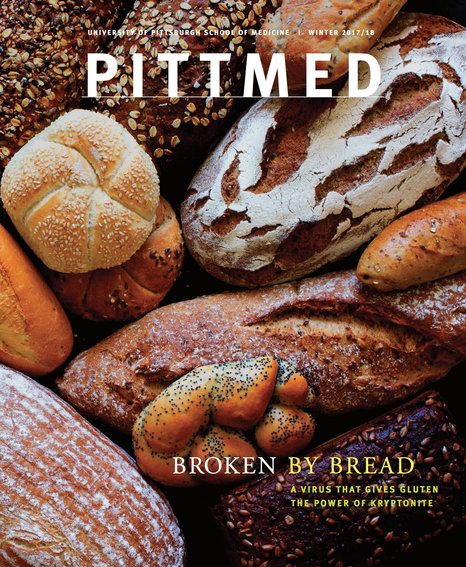 cover of Pitt Med which is various breads