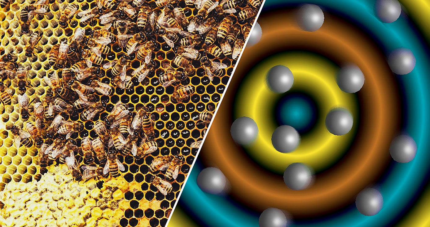 illustration with bees on the left and a model of particles on the right