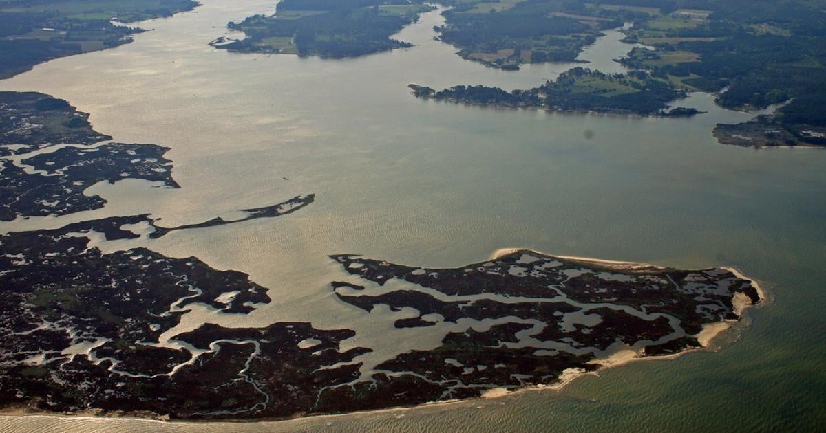 Some of Earth’s estuaries are warming, consistent with climate change ...