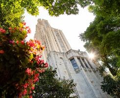 The Cathedral of Learning framed by trees