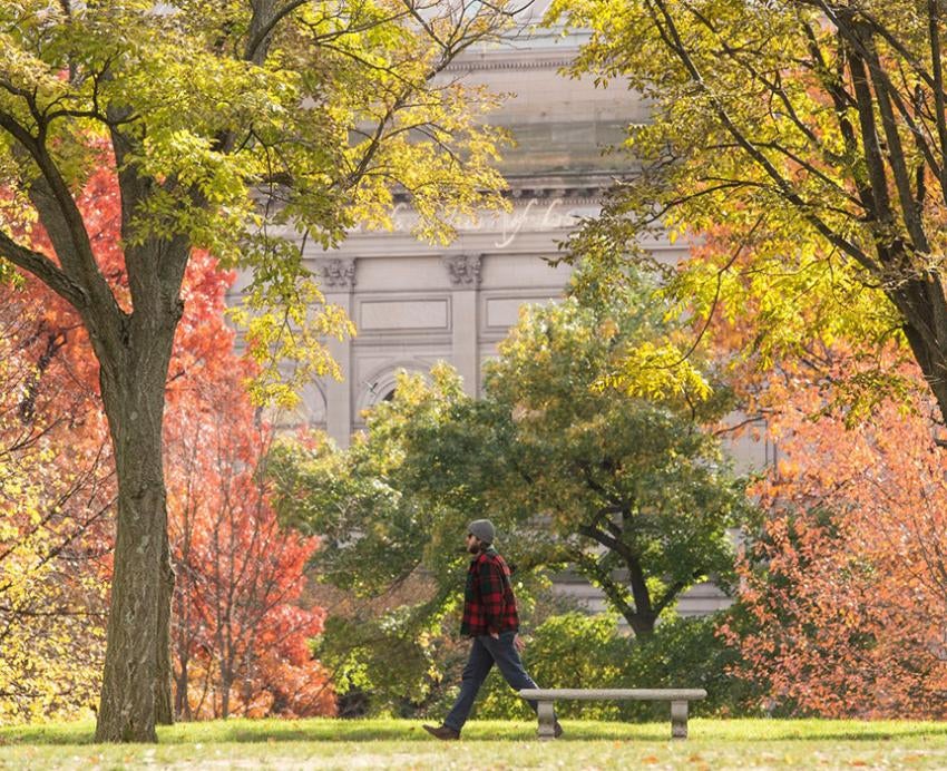 a colorful fall scene on campus