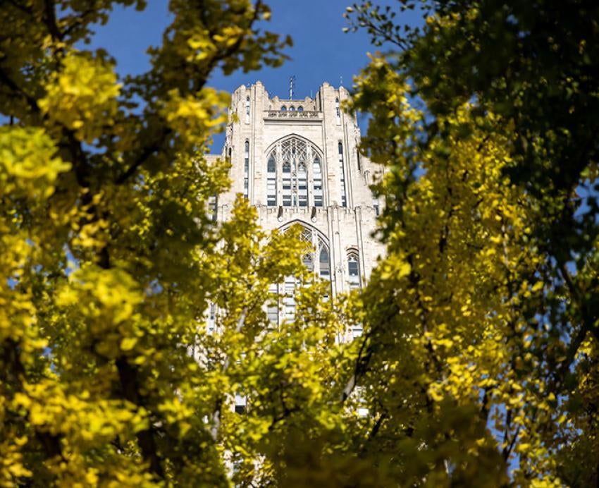 The Cathedral of Learning behind yellow leaves