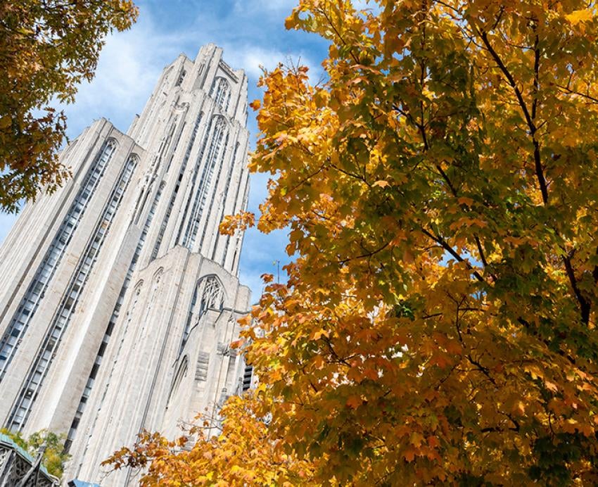 The Cathedral of Learning behind trees