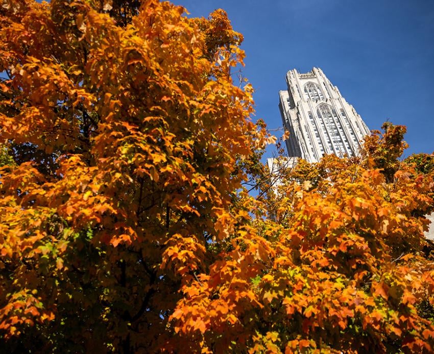The Cathedral of Learning behind fall leaves