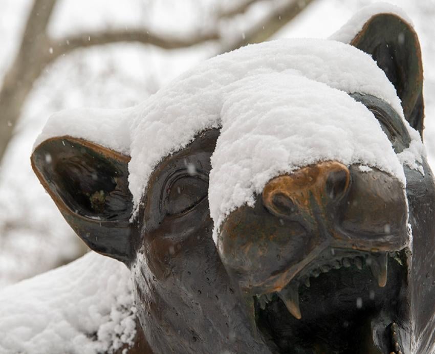 The face of a panther statue, covered in snow