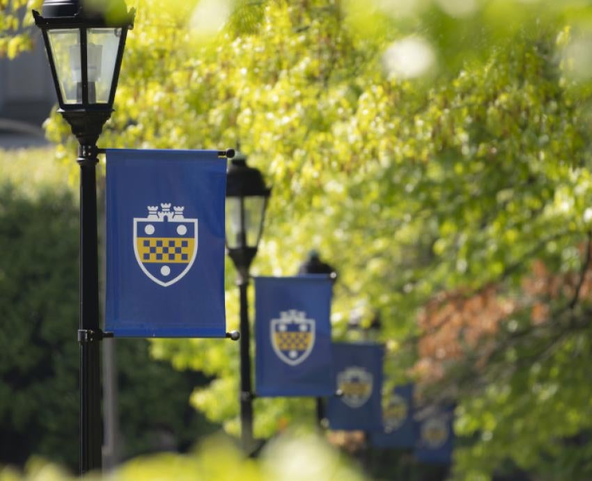 A row of lamp banners bearing the Pitt shield