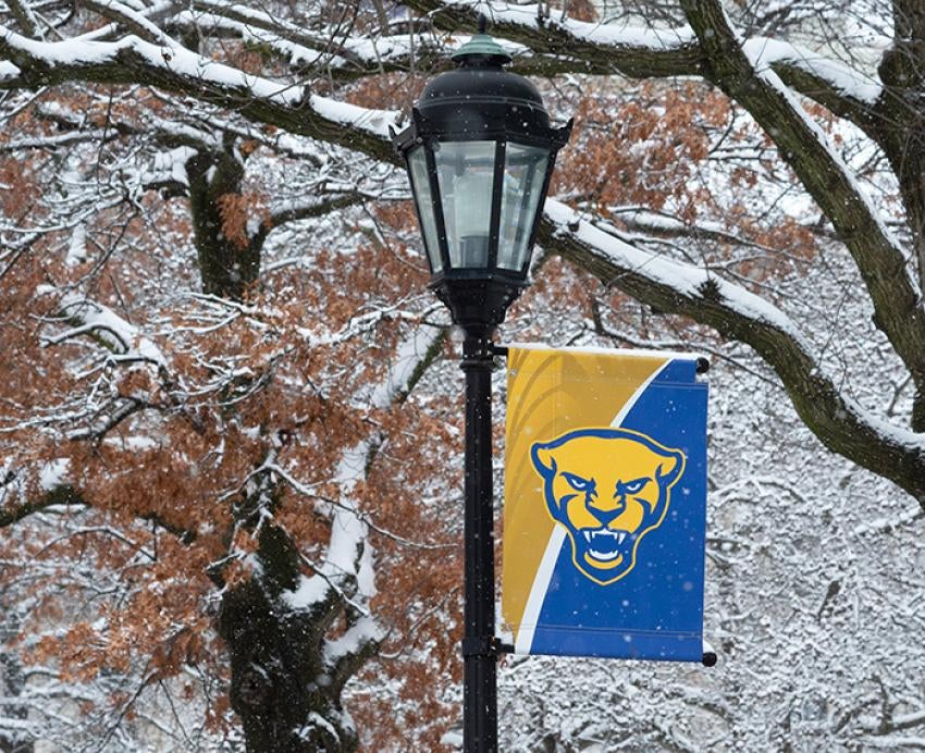 A Panther flag on a snowy lamppost