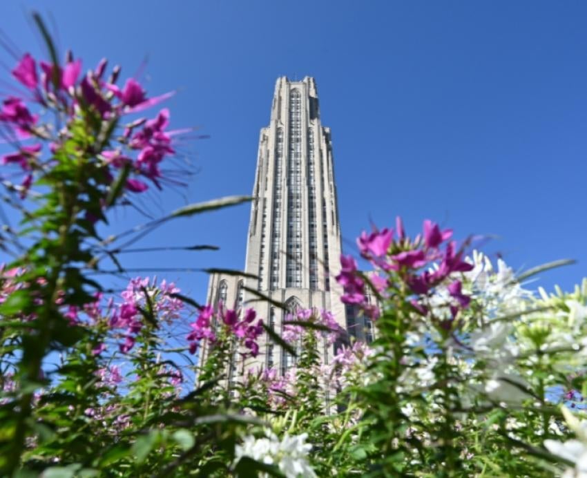 Flowers frame the Cathedral of Learning.