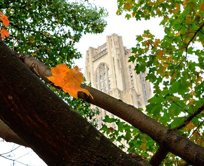 The Cathedral of Learning behind tree branches